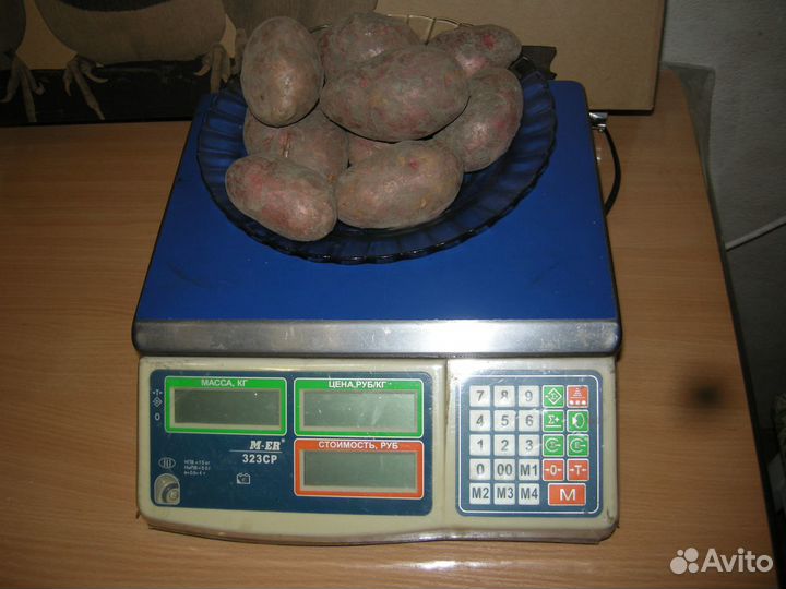 Весы кухонные