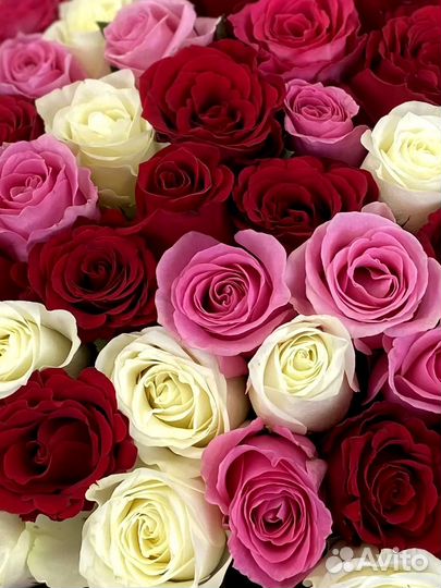 Цветы розы с доставкой