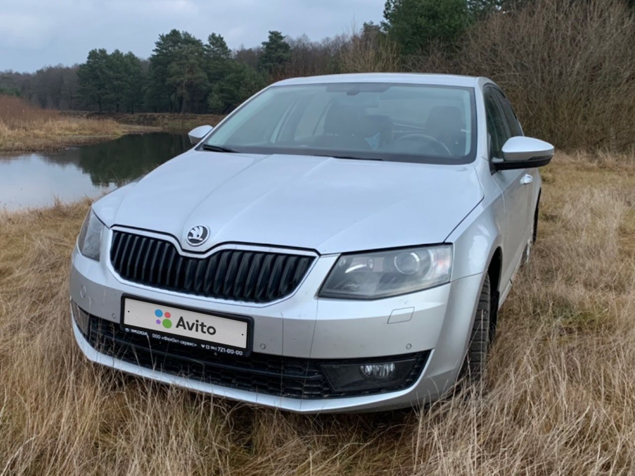 Skoda Octavia: фото владельца