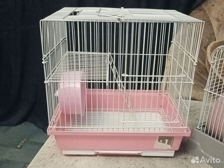 Клетки