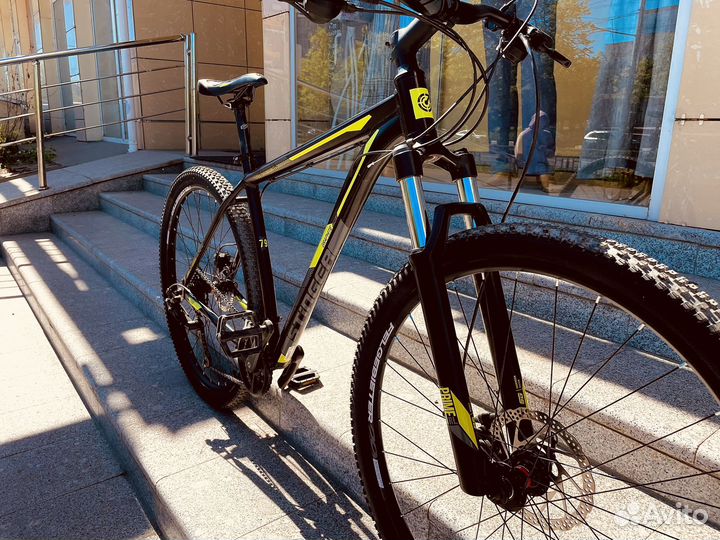 Stinger Graphite Pro 29