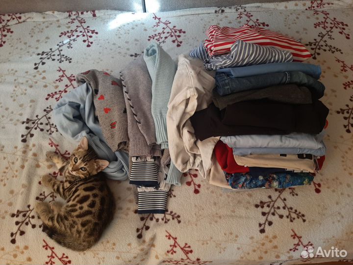 Одежда пакетом