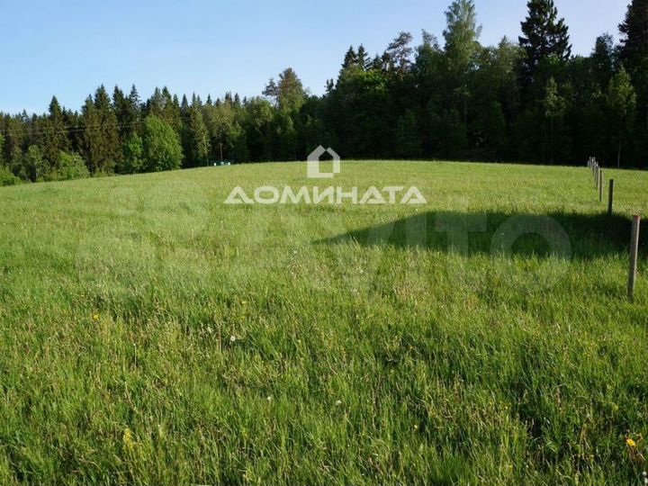 Участок 40 сот. (СНТ, ДНП)