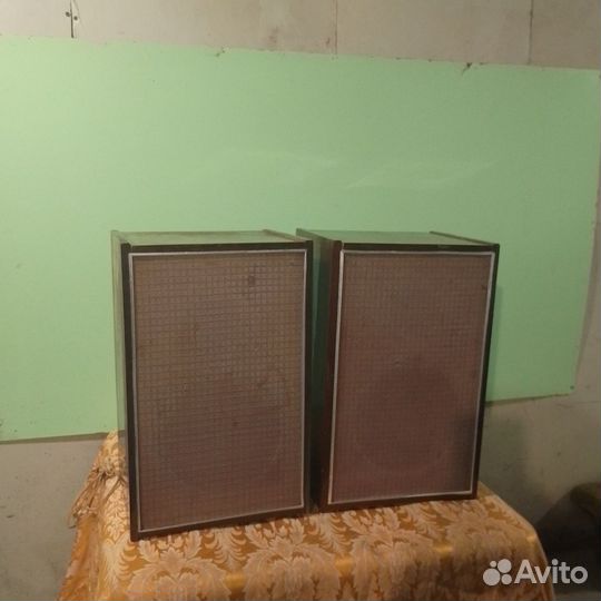 Акустическая система 10мас-1М