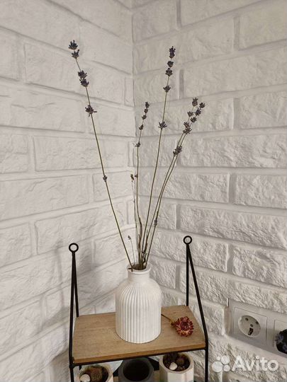 Гипсовая ваза для сухоцветов