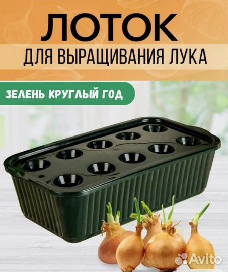 Лоток для выращивания лука