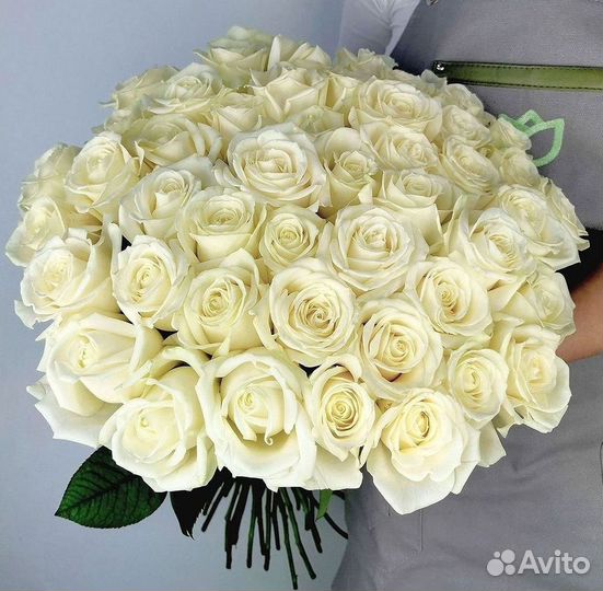 Высокие розы Гигантские розы 110