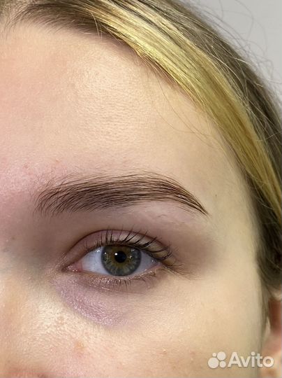 Мастер бровист