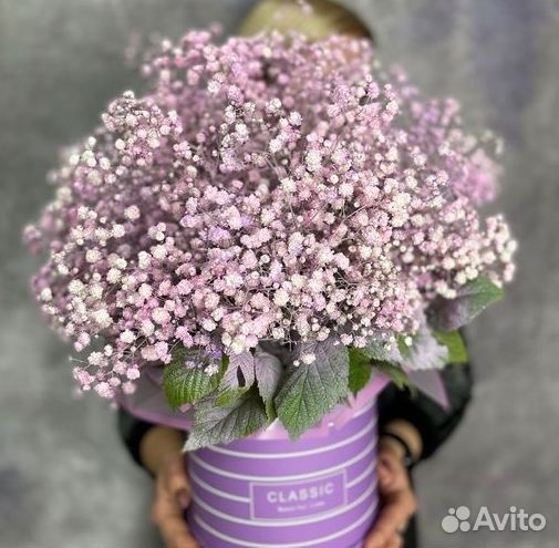 Гипсофилы с открыткой