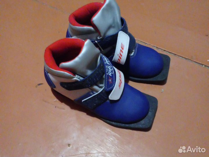 Лыжные ботинки