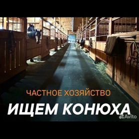 Помощник по хозяйству