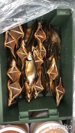 Опт речная рыба