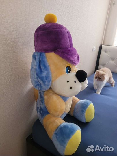 Собака