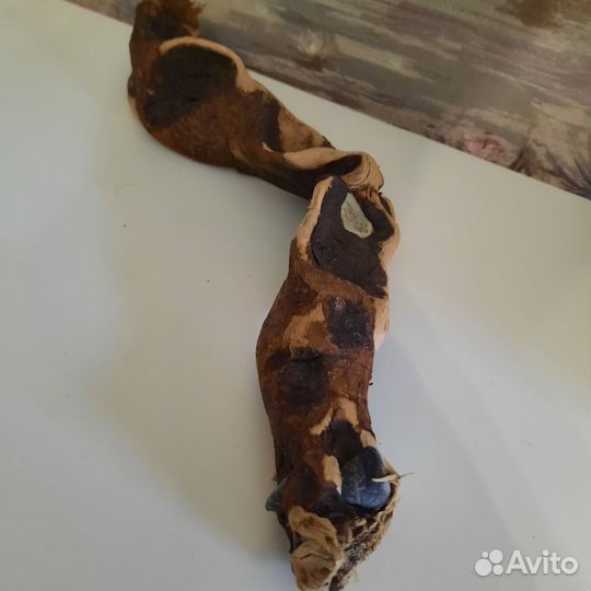 Корешки с камушками