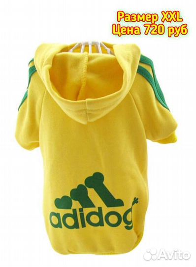 Одежда для собачек)