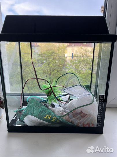 Аквариум для рыбок