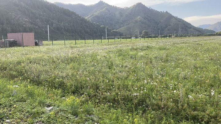 Участок 2 га (СНТ, ДНП)