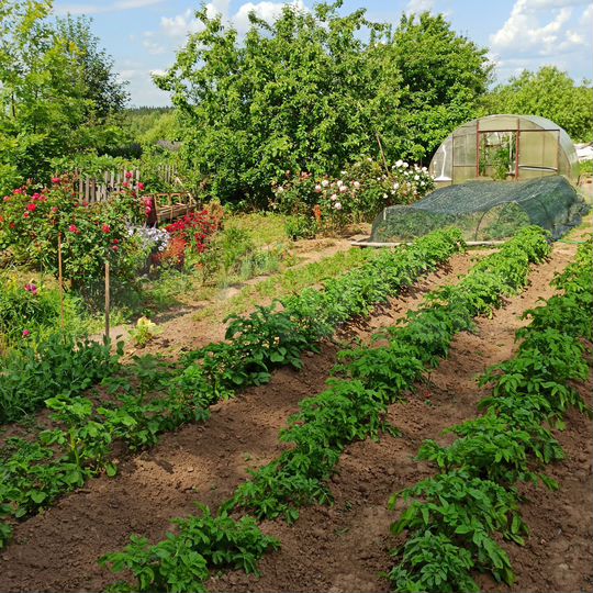 Дом 30,7 м² на участке 15 сот.