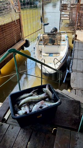 Дом 100 м² на участке 7 сот.