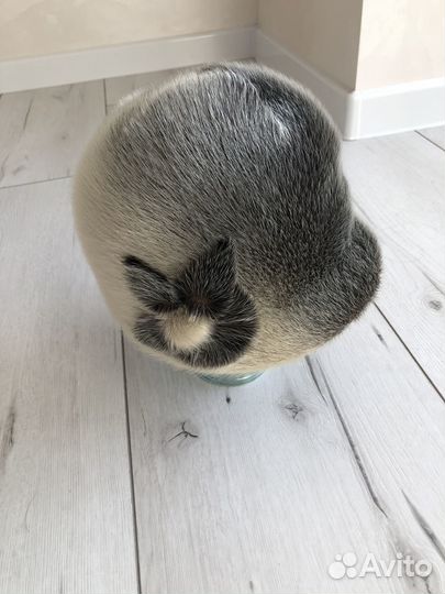 Шапка женская