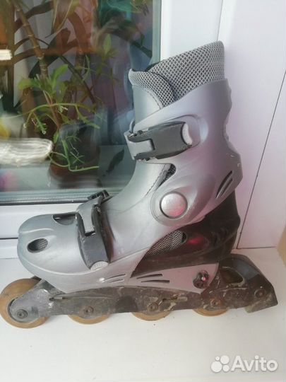 Ролики раздвижные размер 33-36