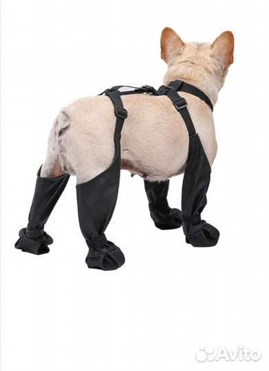 Убувь для собак