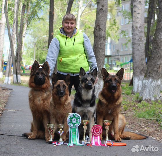 Академия Умных лап.Хендлинг.Дрессировка