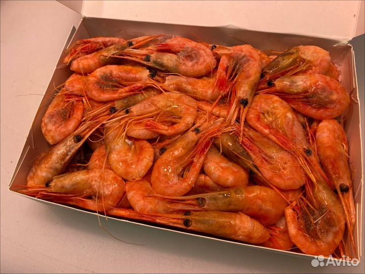 Креветка северная. Крупные. Опт