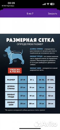 Зимний комбинезон для собак мелких пород