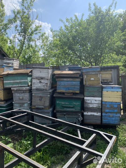 Улей для пчел бу 25 штук