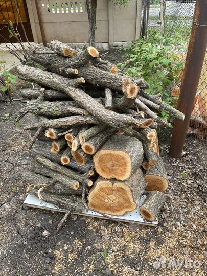 Дрова абрикос