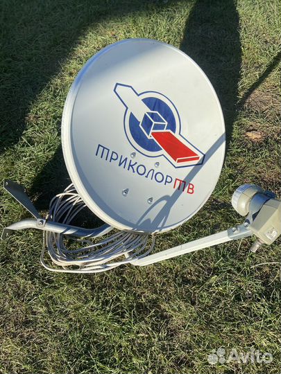 Тарелка триколор