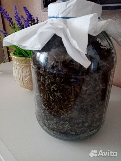 Ручной ферминтации иван-чай крупнолистный