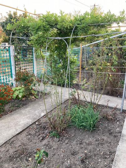 Дом 50 м² на участке 18 сот.