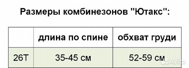 Одежда для корги