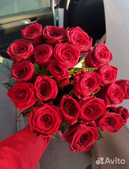 Розы, букет цветов