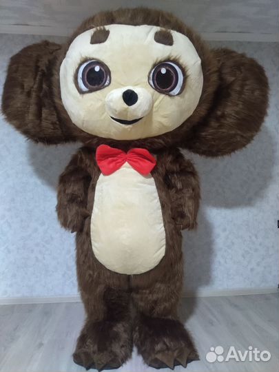 Поздравление Мишки, кошки, чебурашки и зайки