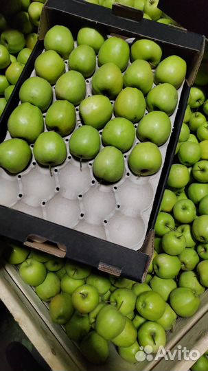 Яблоки оптом