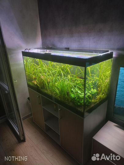 Аквариум