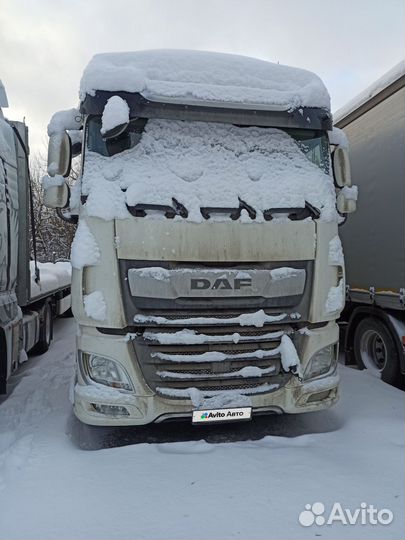 Тентованный грузовик DAF XF 480, 2022