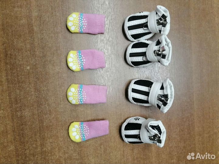 Одежда и обувь для маленьких собак