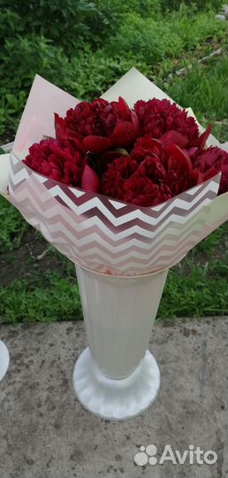 Ромашки крупные