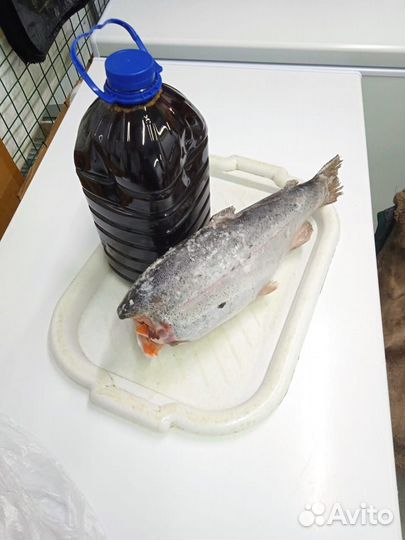 Рыбий жир ветеринарный