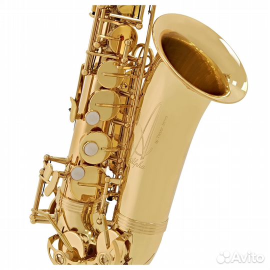 Альт саксофон Trevor James Alphasax 371A ученическ