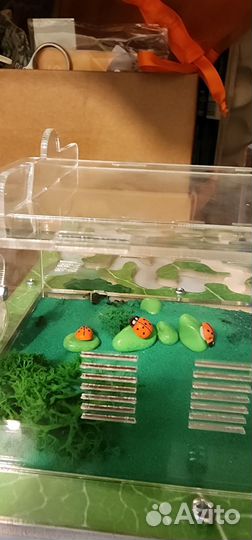 Формикарий