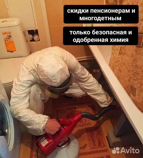 Уничтожение тараканов и клопов дезинсекция