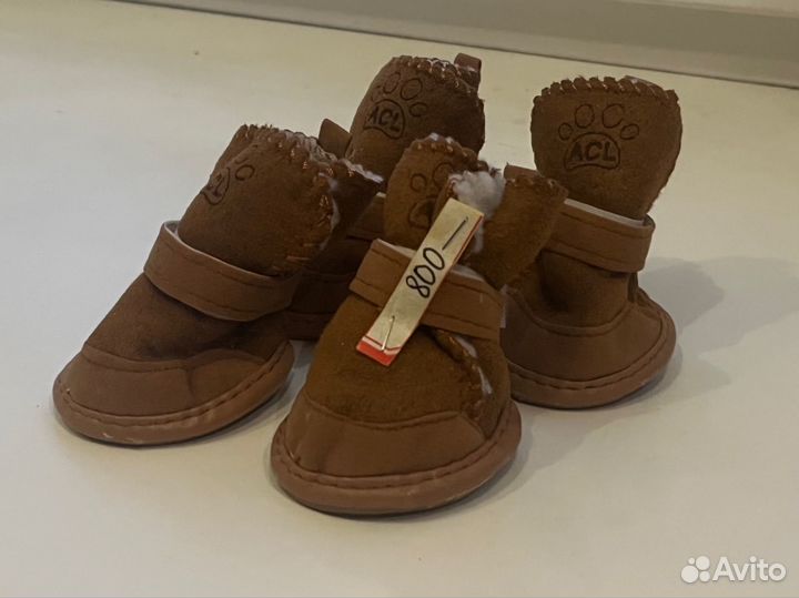 Одежда для собак