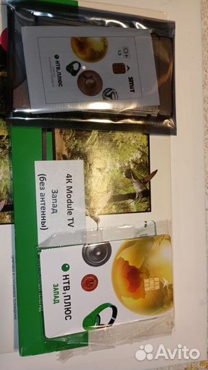 НТВ плюс спутниковое телевидение