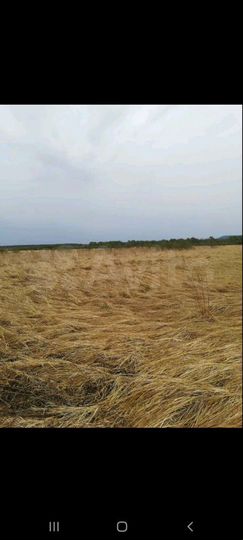 Участок 100 сот. (СНТ, ДНП)