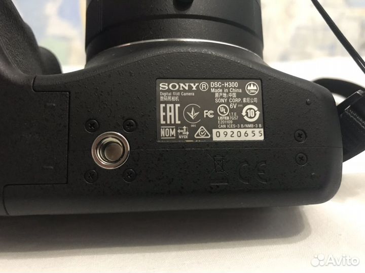 Sony DSC H300